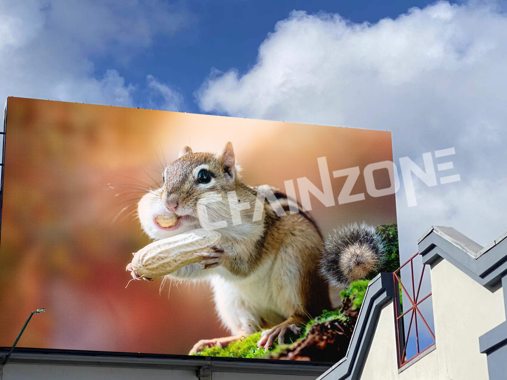 1706151540485355.jpg 波多黎各3.jpg